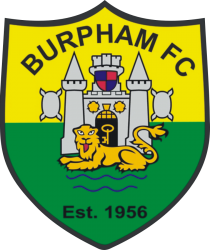 Little Lane FC badge